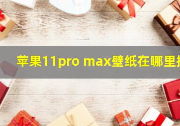 苹果11pro max壁纸在哪里换